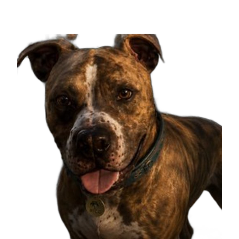 Rico