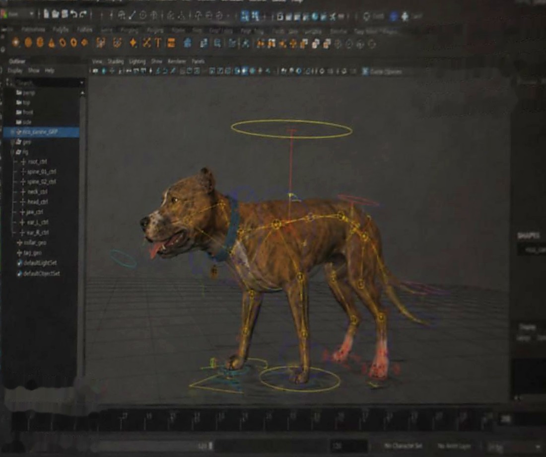 The Rico model rigged in the animation tool